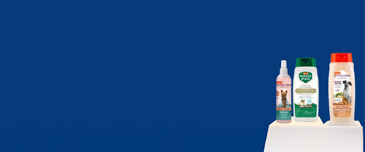 dog grooming essentials in costa rica