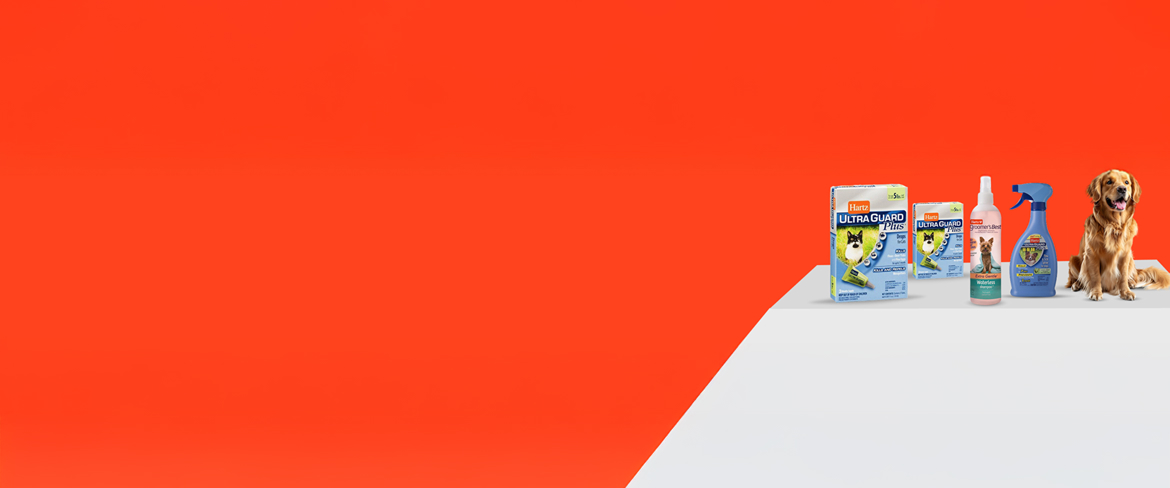 effective flea and tick control in costa rica