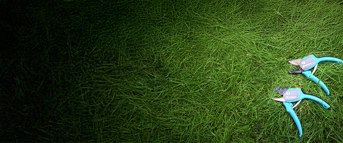 precision hand loppers in kosovo