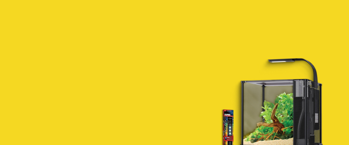 quality aquarium lights in dominican republic