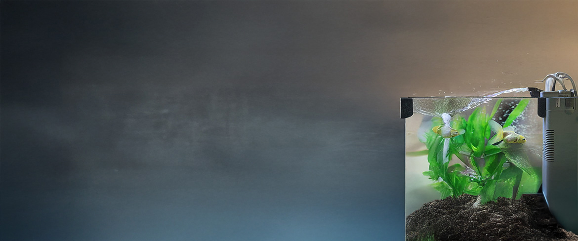 fast-fill air pumps in dominican republic