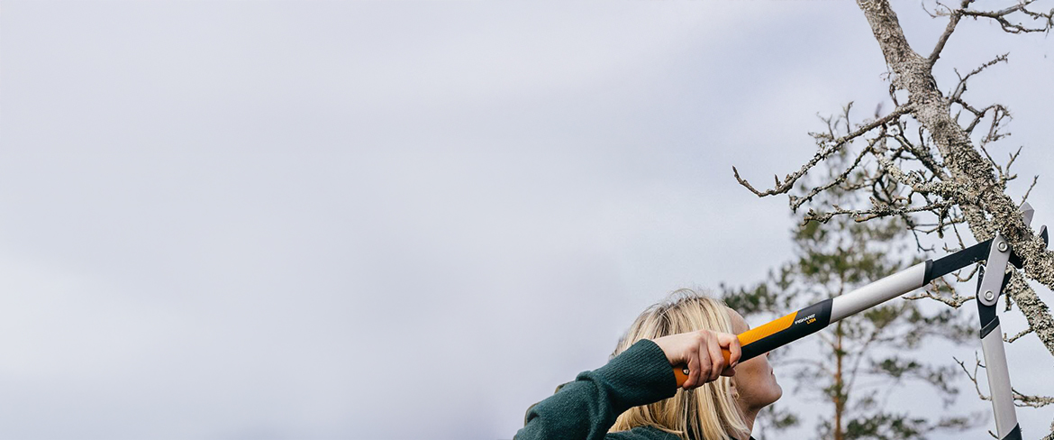 heavy-duty hand loppers in malaysia