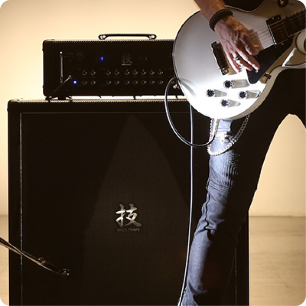 Roland Guitar Accessories
