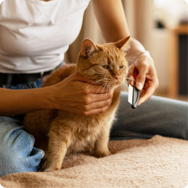 Hartz Flea and Tick Control