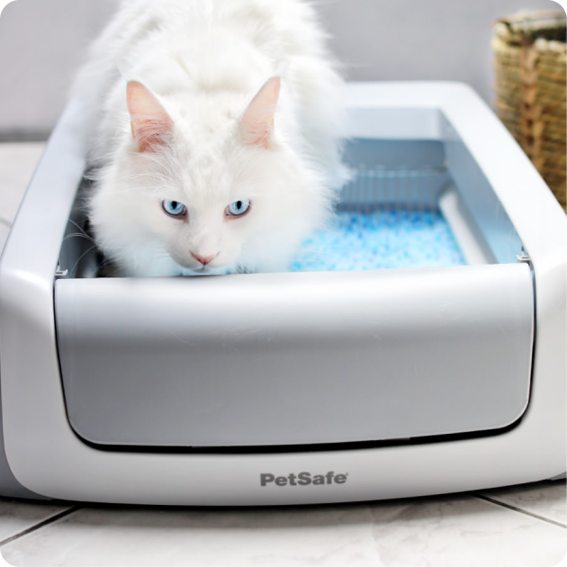 PetSafe Self-Cleaning Accessories