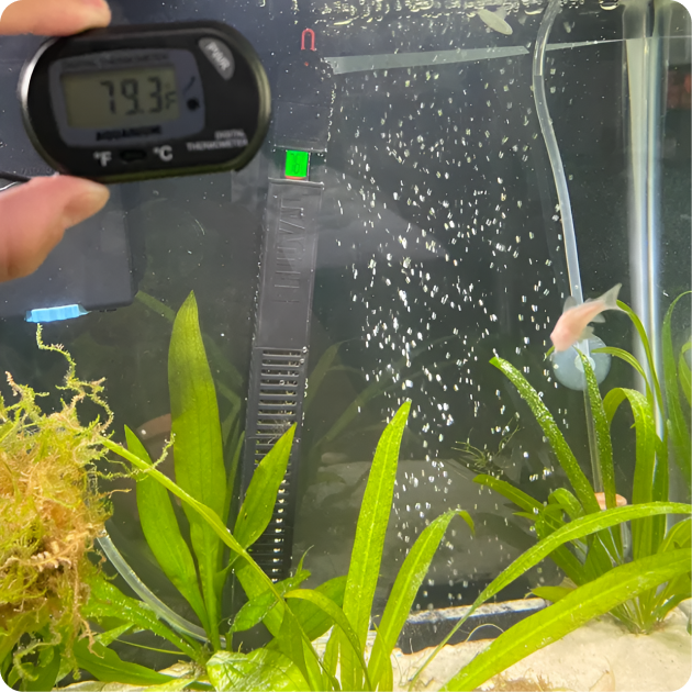Fluval Aquarium Heaters &amp; Chillers