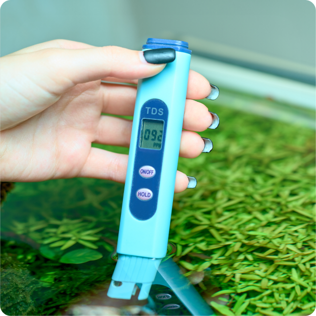 Aquarium Thermometers