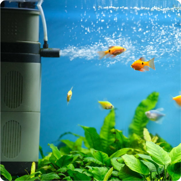 Aquarium Filter Accessories