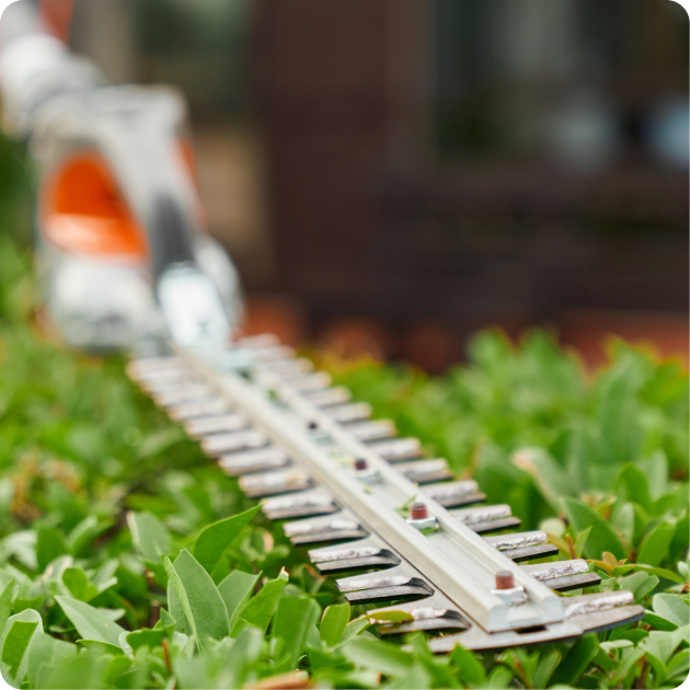 Gardening and Lawn Care