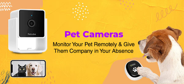 Pet Cameras - Monitor Your Pet Remotely & Give Them Company in Your Absence