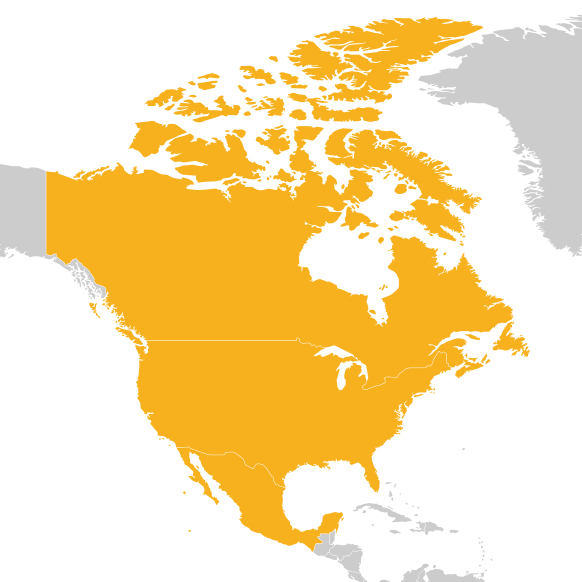 North America